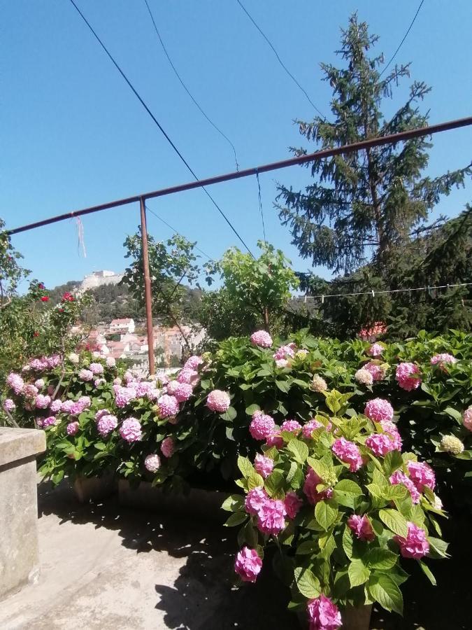 Guesthouse Bracanovic Hvar Town Zewnętrze zdjęcie